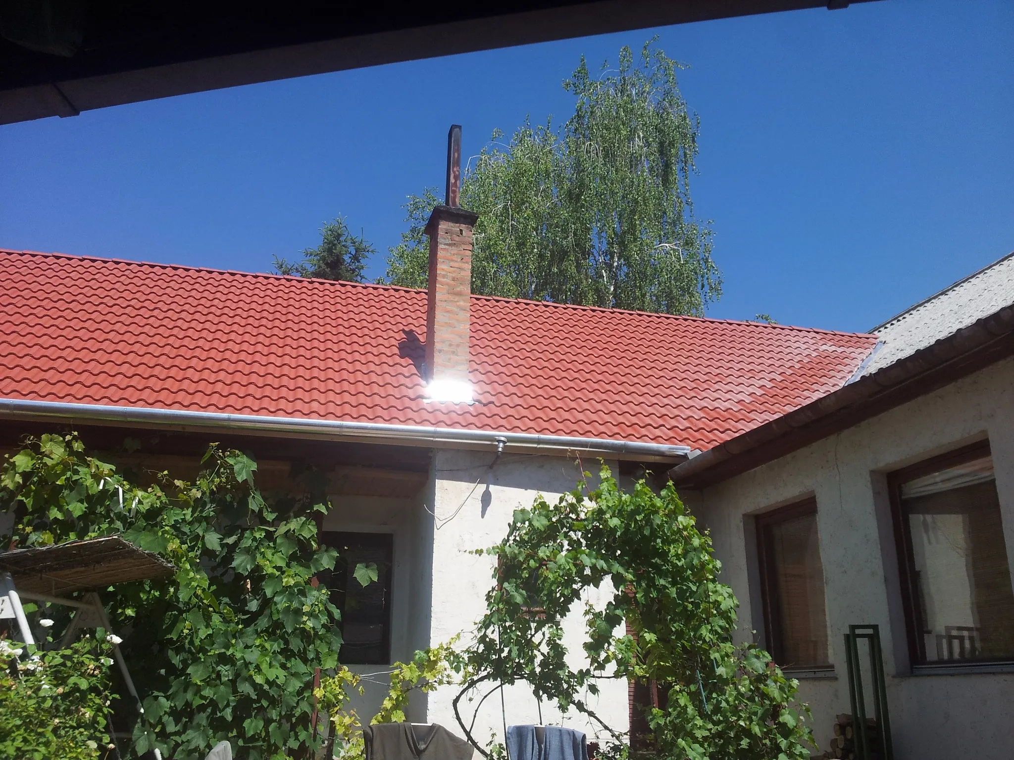 Profi Builders projekt 20