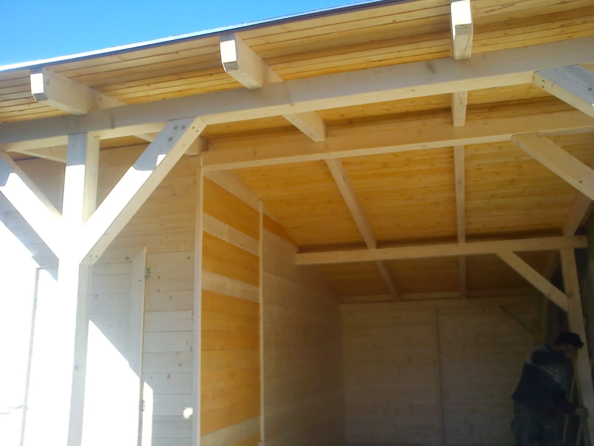 Profi Builders projekt 21