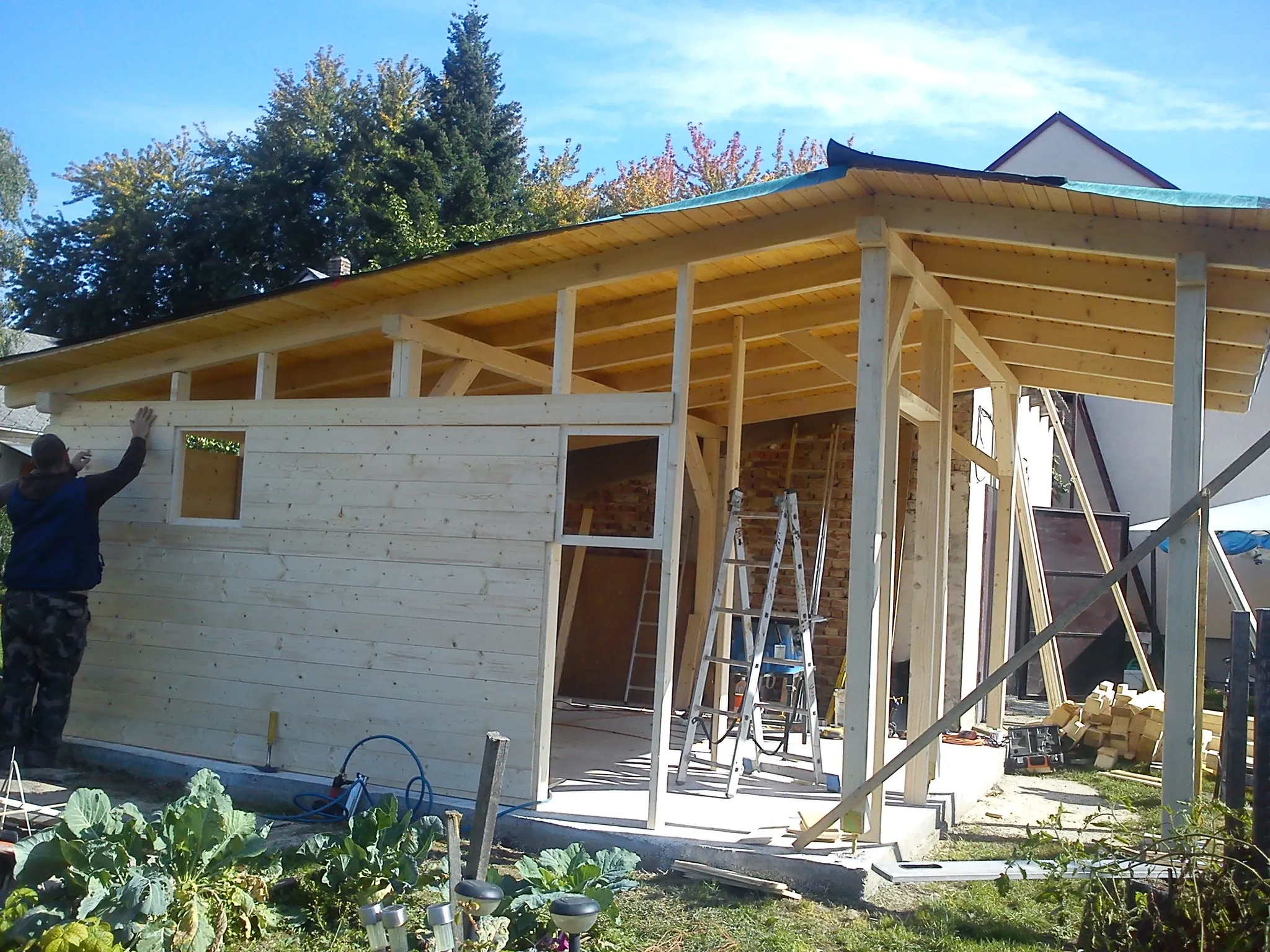 Profi Builders projekt 23